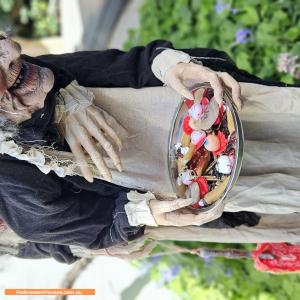 Halloween House at 15 Clarnette Place, Flynn