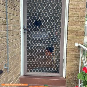 Halloween House at 30 Flinders Street, Mentone