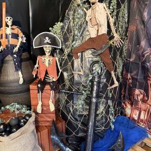 Halloween House at 20 Geraint Street, Bracken Ridge