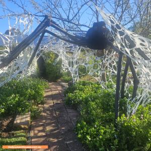 Halloween House at 4 Kingston Avenue, Happy Valley