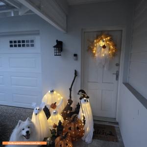 Christmas Light display at 46 Awesome Pde, Griffin