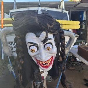 Halloween House at 15 Carignane Street, Wynn Vale