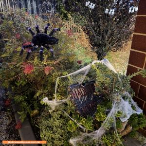 Halloween House at 12 Dobell Road, Alkimos