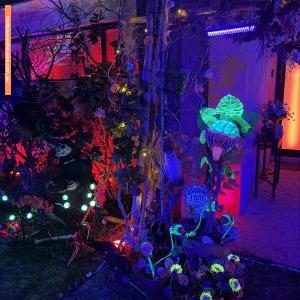 Halloween House at 20 Aquinnah Way, Wellard