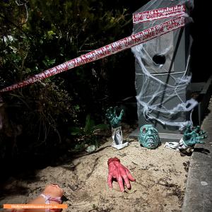 Halloween House at 17 Erong Avenue, Gilles Plains