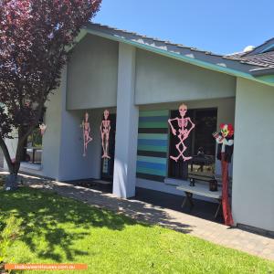 Halloween House at 4 Henning Court, Novar Gardens