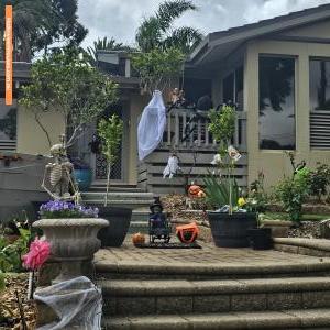 Halloween House at 5 Ernest Crescent, Happy Valley