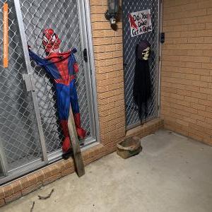 Halloween House at 22 Troop Street, Jamboree Heights