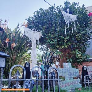 Christmas Light display at 11 Elwers Street, Watsonia North