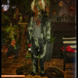 Halloween House at 37 Alfred Street, York
