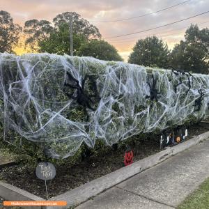 Halloween House at  Arcadia Avenue, The Basin