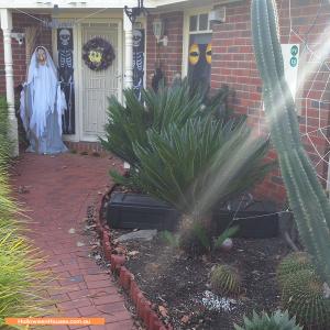 Christmas Light display at 22 Caruana Drive, Dingley Village
