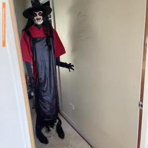 Halloween House at 17 Howarth Street, Elliminyt
