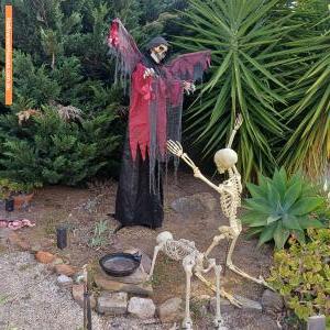 Halloween House at 12 Waitara Court, Morphett Vale