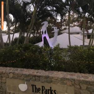 Halloween House at 35 Peachtree Crescent, Peregian Springs