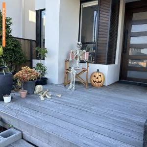 Halloween House at 31 Saddlebred Way, Box Hill