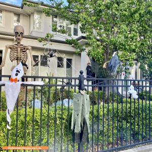 Halloween House at  Jarvis Street, Erindale