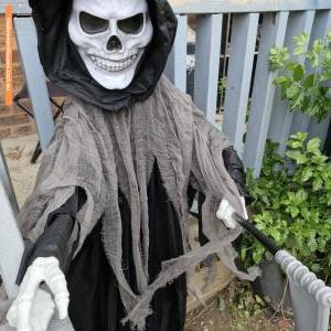 Halloween House at 25 Cupania Crescent, Bidwill