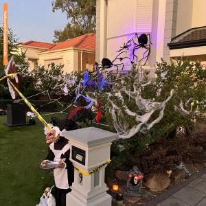 Halloween House at 9 Oakwood Court, Ridgehaven