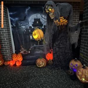 Halloween House at 8 Rosina Street, Stream Hill
