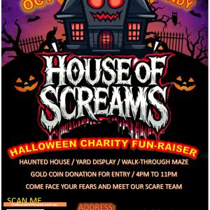 Halloween House at 26 Murdoch Street, Blackett