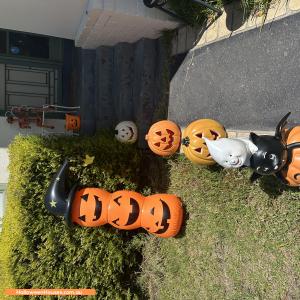 Halloween House at 3 Mitchell Avenue, Ashwood