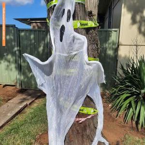 Christmas Light display at 126 Bransgrove Road, Revesby