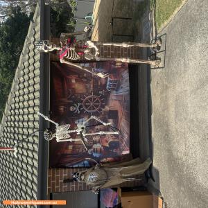 Halloween House at 17 Pinedale Street, Oxenford