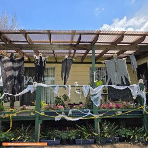 Halloween House at 6 Queensway, Blacktown