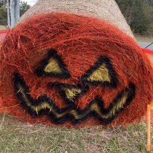 Halloween House at 49 Platypus Street, Wamuran