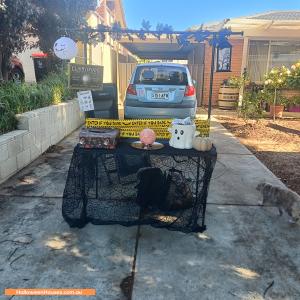 Halloween House at 11 Duke Avenue, Modbury Heights