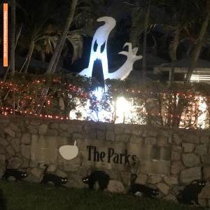 Halloween House at 35 Peachtree Crescent, Peregian Springs