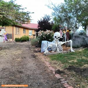 Halloween House at 14 Breen Court, Darraweit Guim