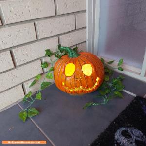 Halloween House at 20 Semillon Circuit, Reynella