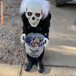 Christmas Light display at 7 Ochre Court, Gillen