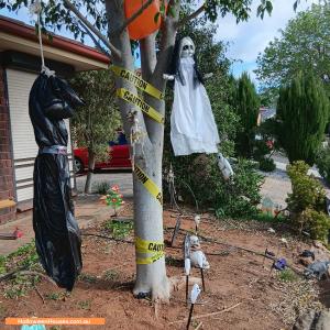 Halloween House at 25 Birchdale Circuit, Hillbank