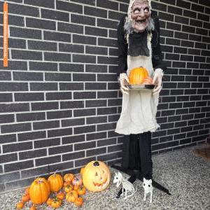 Halloween House at 15 Courtland Street, Salisbury