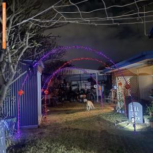 Halloween House at 1 Victoria Avenue, Woody Point