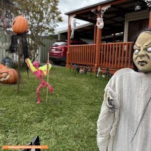 Halloween House at 108 Marshall Street, Dapto