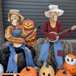Halloween House at 6 Cooinda Crescent, Athelstone