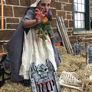 Halloween House at 30 Ebden Avenue, Black Rock