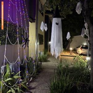 Halloween House at 457 Earnshaw Road, Banyo