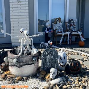 Halloween House at 87 Harrier Circuit, Deanside