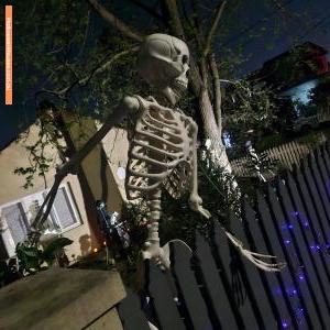 Halloween House at 38 Margaret Street, Box Hill