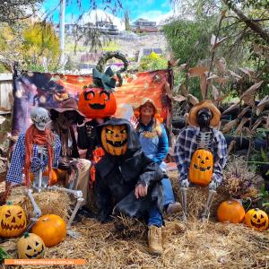 Halloween House at 139 Springfield Avenue, West Moonah