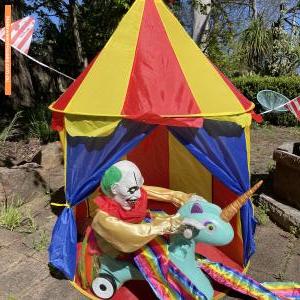 Halloween House at 39 Dryden Avenue, Carlingford
