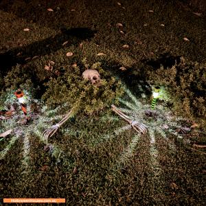 Halloween House at 63A River Road, Bayswater