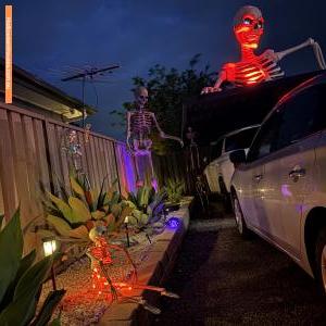 Halloween House at 79 Soling Crescent, Cranebrook