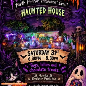 Halloween House at 38 Maurice Street, Embleton