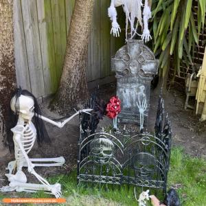 Halloween House at 408A Ripon Street South, Ballarat Central